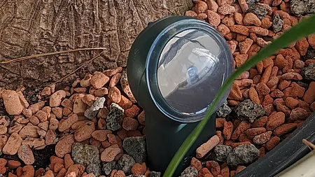 FYTA Beam Pflanzensensor im Topf
