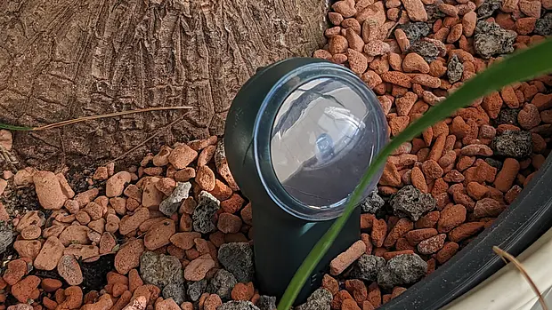 FYTA Beam Pflanzensensor im Topf
