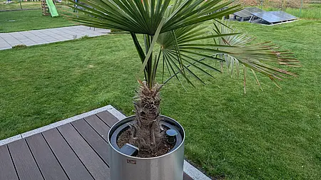 FYTA Terra: Outdoor-Pflanzensensor für Garten und Rasen